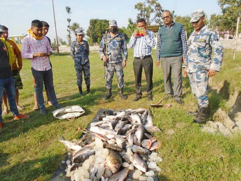 सशस्त्र प्रहरीद्धारा दोधारा-चाँदनीको सीमा क्षेत्रमा अवैैध माछा बरामद
