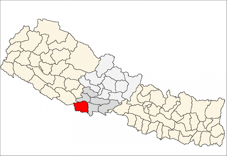 नारी दिवसकै दिन महिलामाथि एसिड प्रहार