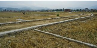 बाँझो जग्गामा खेती गर्नेलाई अनुदान: कोदोखेतीलाई प्रतिरोपनी २ हजार, धानलाई ५ हजार