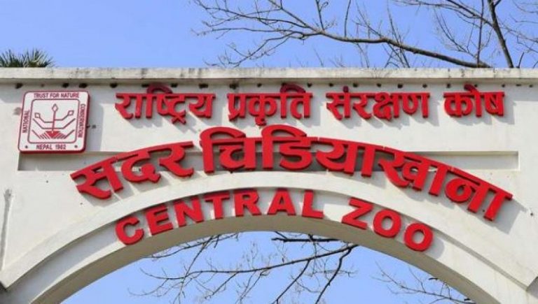 चिडियाखाना भोलिबाट अनिश्चित कालको लागि बन्द