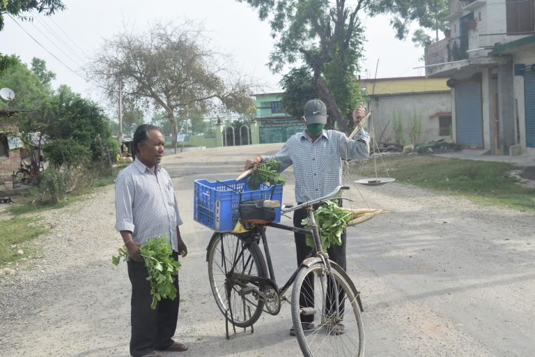 भारतबाट भित्रने तरकारी र फलफूलमा रोक, स्थानीयलाई प्राथामिकता