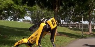 सिंगापुरमा रोबोट कुकुरले मानिसलाई सिकाउँदैछ सामाजिक दूरी