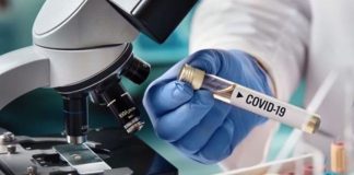 थप २६४ जनामा कोरोना पुष्टी, २ जना संक्रमितको निधन