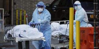 विश्वभर ५४ लाख ९४ हजार कोरोना संक्रमित, २३ लाख संक्रमण मुक्त