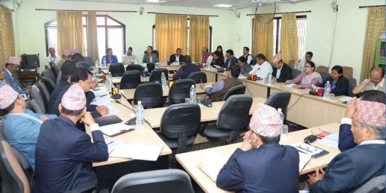 विदेशी बुहारीलाई सात वर्षपछि नागरिकता दिने प्रावधान बहुमतले पारित