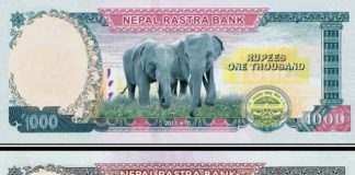 यस्तो देखियो हजारको नयाँ नोट, विदेशी हात्तीको प्रयोग हट्यो