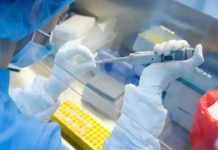 राष्ट्रिय फुटबल टोलीका चार खेलाडीलाई कोरोना संक्रमण