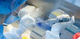 पछिल्लो २४ घण्टामा थप ६ सय ३८ जनामा कोरोना संक्रमण पुष्टि