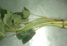 ऋषि पञ्चमीका दिन किन खाइन्छ कर्कलोको तरकारी ?