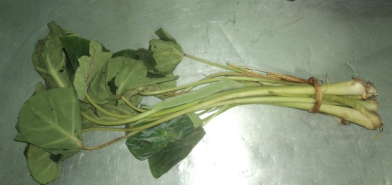 ऋषि पञ्चमीका दिन किन खाइन्छ कर्कलोको तरकारी ?