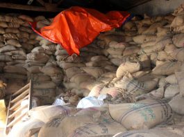 १० महिनामै भित्रियो ४४ अर्बको चामल, सरकार भन्छ- ५ वर्ष भित्रमा आत्मनिर्भर