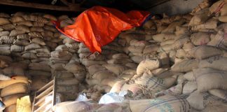 अत्यावश्यक वस्तुमा परनिर्भरता बढ्दै, ६ महिनामा १६ अर्बको चामल आयात