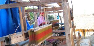 नेपाली महिला उद्यम क्षेत्रमा आकर्षित, सहुलियत ऋण लिने तीन गुणा बढे