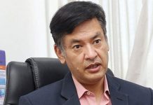 विद्युत् प्राधिकरण कार्यकारी निर्देशकमा शाक्यलाई पुनर्स्थापित गर्ने आदेश