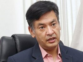 विद्युत् प्राधिकरण कार्यकारी निर्देशकमा शाक्यलाई पुनर्स्थापित गर्ने आदेश