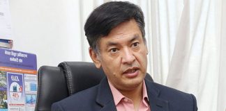 हितेन्द्रदेव शाक्य विद्युत प्राधिकरणको निमित्त कार्यकारी निर्देशकमा नियुक्त