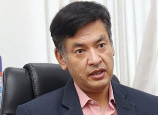 विद्युत् प्राधिकरण कार्यकारी निर्देशकमा शाक्यलाई पुनर्स्थापित गर्ने आदेश