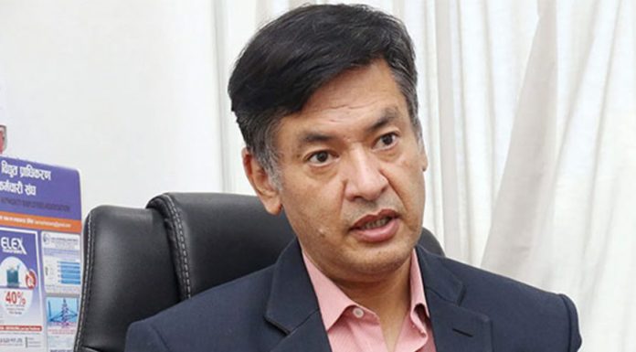 विद्युत् प्राधिकरण कार्यकारी निर्देशकमा शाक्यलाई पुनर्स्थापित गर्ने आदेश