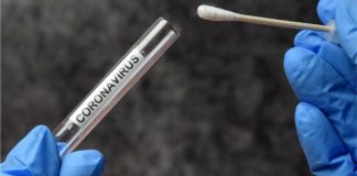 थप १९४६ जनामा कोरोना संक्रमण, २५०३ जना संक्रमणमुक्त