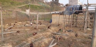 विदेशबाट अध्ययन गरेर फर्किएका यूवाको उपत्यकामा ५० लाखको कालिज फर्म