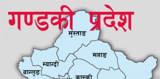 पोखरामा थप दुई कारोना संक्रमितको मृत्यु, गण्डकी प्रदेशमा मृत्यु हुनेको संख्या १८६ पुग्यो