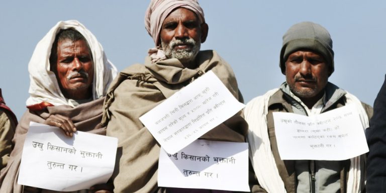 उखु किसानले अझै पाएनन् भुक्तानी