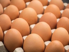 फेरि बढ्याे अन्डाकाे भाउ