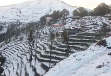 न्यूनचापीय प्रणालीको प्रभाव: देशका केही ठाउँमा हल्का वर्षा र हिमपातको सम्भावना