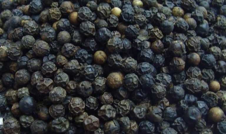 यसकारण खानुपर्छ चिसो मौसममा मरिच, यस्ता छन् फाइदा