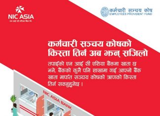 सञ्चय कोषका ऋणीहरूले एनआइसी एशियाको जुनसुकै शाखाबाट किस्ता तिर्न सक्ने