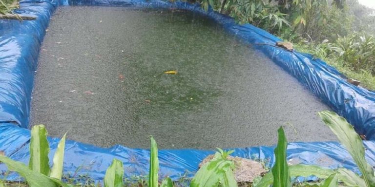 प्लास्टिकको पोखरीमा डुबेर एकै परिवारका दुई जनासहित तीन बालिकाको मृत्यु