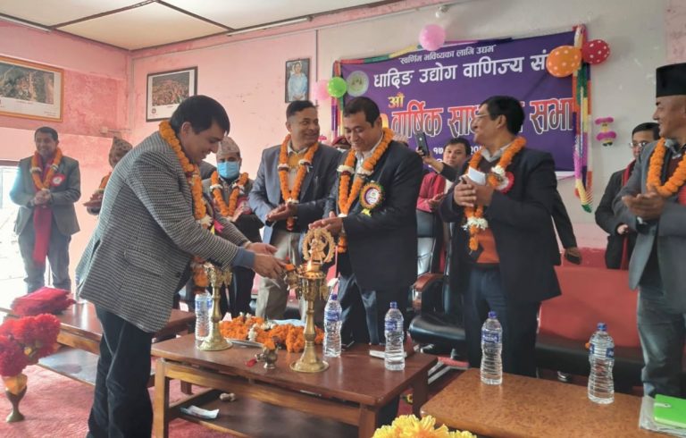 ‘परिणाम देखिने गरी काम गर्छौं’- वरिष्ठ उपाध्यक्ष ढकाल