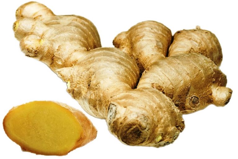 औषधीय गुण भएको अदुवा खानुका यस्ता छन् अनेक फाइदा