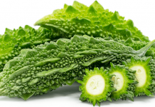 तिते करेलाको मिठो फाइदा, मधुमेहको विरामीका लागि अमृत