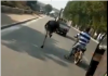 चिडियाखानाबाट भागेको अष्ट्रिच सडकमा दौडिएको भिडियो भाइरल (भिडियो सहित)