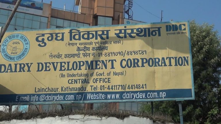 दुग्ध विकास संस्थानको महाप्रबन्धकमा दरखास्त आह्वान , व्यवसायिक कार्ययोजना अनिवार्य
