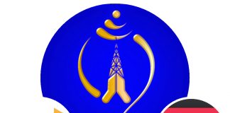 जीएसएम मोबाइल सेवाको प्रयोगकर्ता ४ करोड नाघ्यो, नेपाल टेलिकमको हिस्सा ५४.२६ प्रतिशत