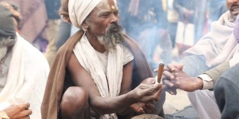 शिवरात्रीको नाममा गाँजा खाँदै हुनुहुन्छ ? गाँजा सेवन दिमाग भ्रमित, स्मरणशक्तिमा असर !