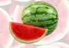 गर्मी मौसमको मनपर्ने फलफूल तरबुजाको असर, कस्ता रोग भएकाले खानु हुँदैन ?