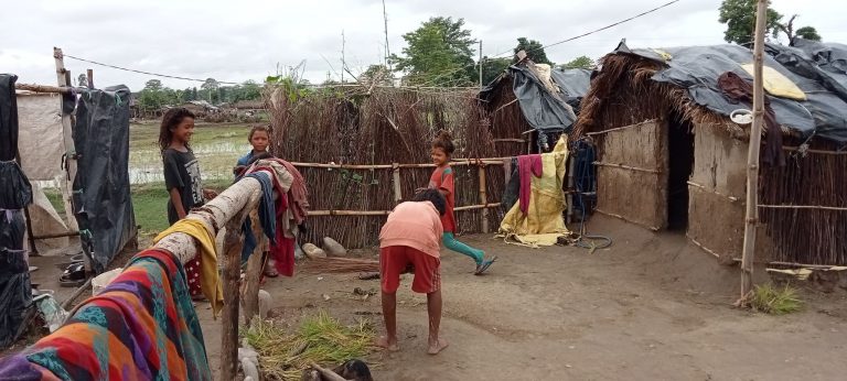 दोधारा चाँदनीका बादी समुदायको पीडा -‘च्यात्तिएको त्रिपाल मुनी छाक टार्नै मुस्किल’