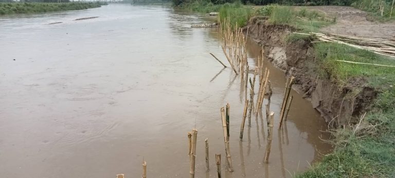 जगबुडा नदीको बहावको कारण जैविक तटबन्धको काम प्रभावित