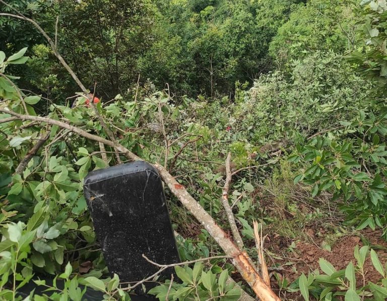 पाल्पामा बस दुर्घटना, ६ जनाको मृत्यु
