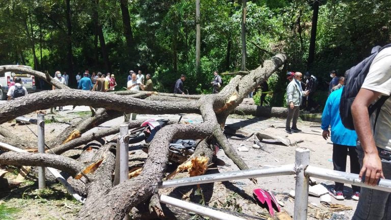 भक्तपुरमा रुख ढलेर बस र स्कुटरलाई किच्दा तीन जनाको मृत्यु, १२ घाइते