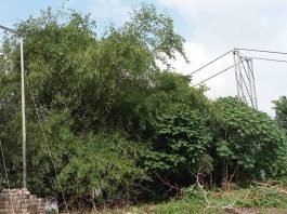 दुई वर्षभित्र शत प्रतिशत जनसंख्यामा विद्युत पहुँच