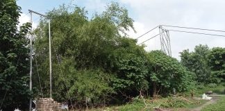 दुई वर्षभित्र शत प्रतिशत जनसंख्यामा विद्युत पहुँच