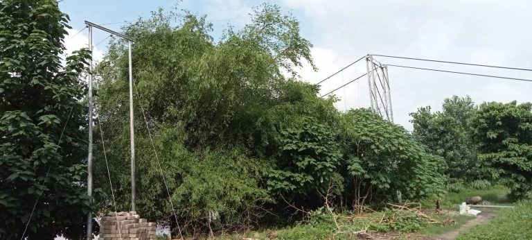 दुई वर्षभित्र शत प्रतिशत जनसंख्यामा विद्युत पहुँच