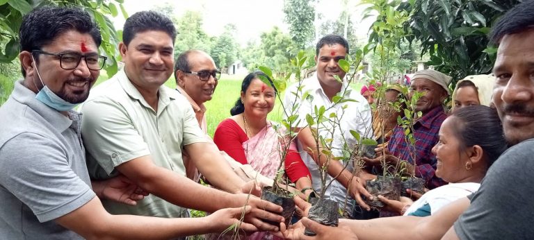 कृषिमा आत्मनिर्भर बनाउन दोधारा चाँदनीमा कागती खेती
