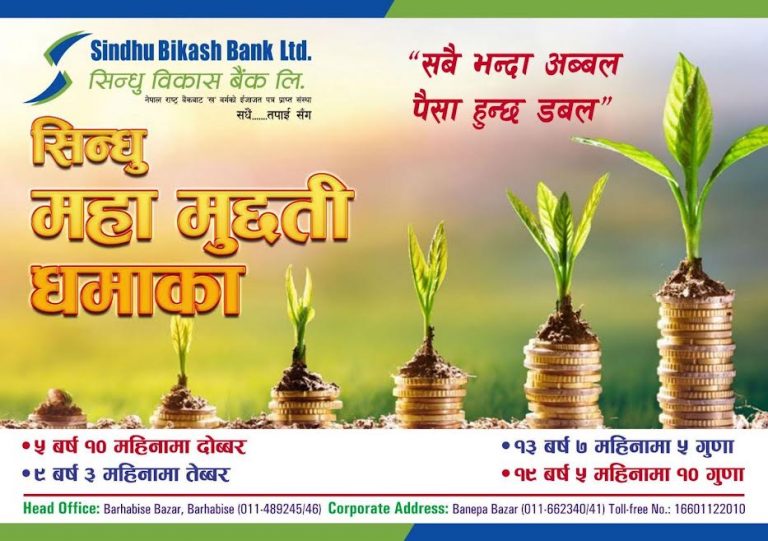 सिन्धु विकास बैंकको ‘सिन्धु महा मुद्दती धमाका’ योजना, १० गुणासम्म प्रतिफल