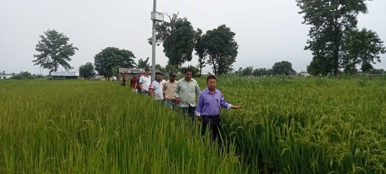 दोधारा चाँदनीका मेयर भन्छन्-‘बडवाल टोलको समस्याप्रति हामी गम्भिर छौं’