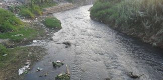 सिर्सिया नदी दुर्गन्धितको प्रमुख कारक उद्योगको फोहोर पानी